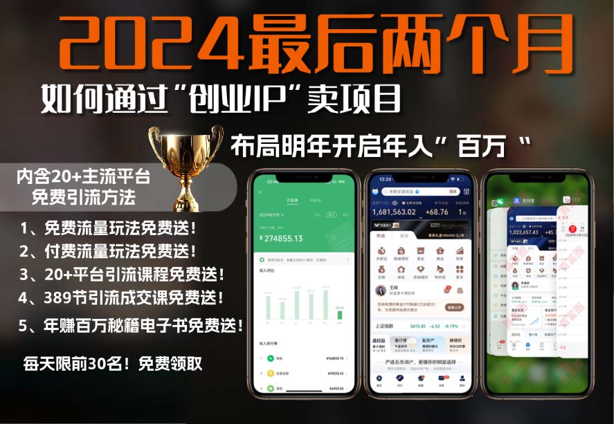 2024最后两个月如何通过”创业IP“卖项目年入”百万“,创业IP+最强引流…-网创星球