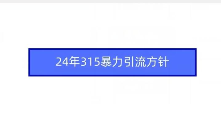 24年315暴力引流方针-网创星球