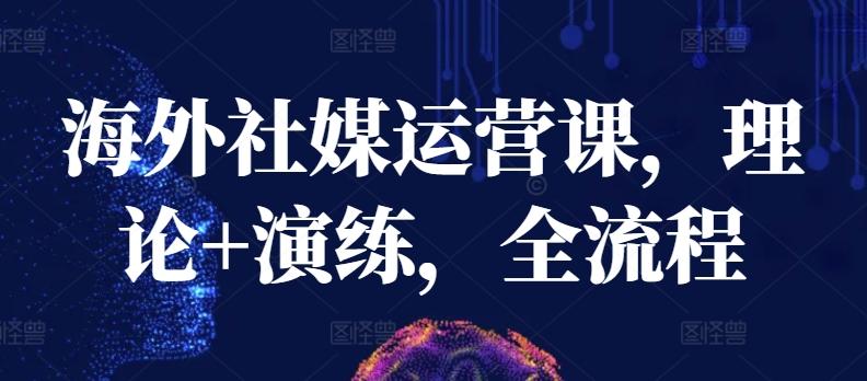 海外社媒运营课，理论+演练，全流程-网创星球