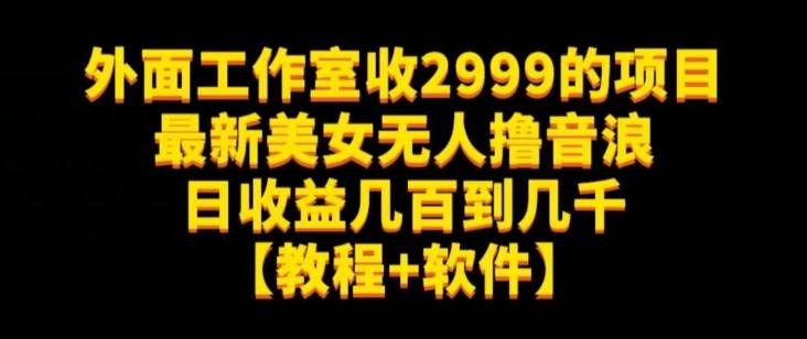 外面工作室收2999的项目最新美女无人撸音浪日收益几百到几千【教程+软件】（仅揭秘）-网创星球