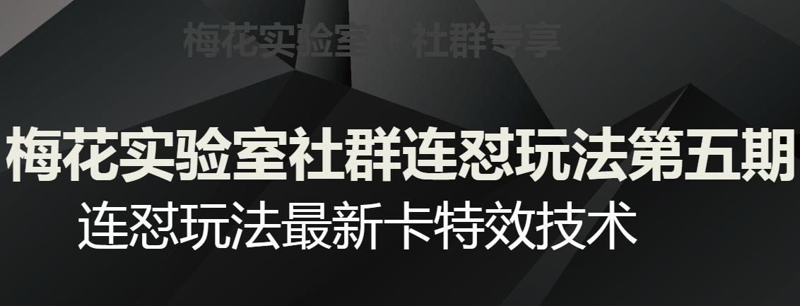 梅花实验室社群连怼玩法第五期，视频号连怼玩法最新卡特效技术-网创星球