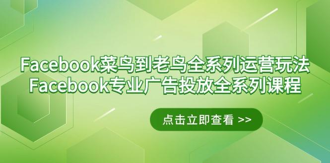 Facebook-菜鸟到老鸟全系列运营玩法+Facebook-专业广告投放全系列课程-网创星球