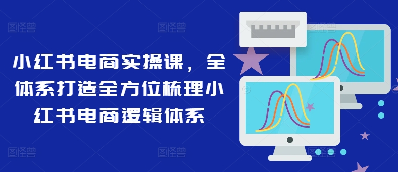 小红书电商实操课，全体系打造全方位梳理小红书电商逻辑体系-网创星球