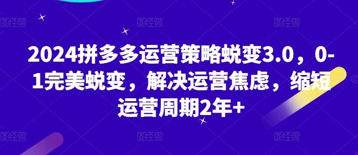 2024拼多多运营策略蜕变3.0，0-1完美蜕变，解决运营焦虑，缩短运营周期2年+-网创星球