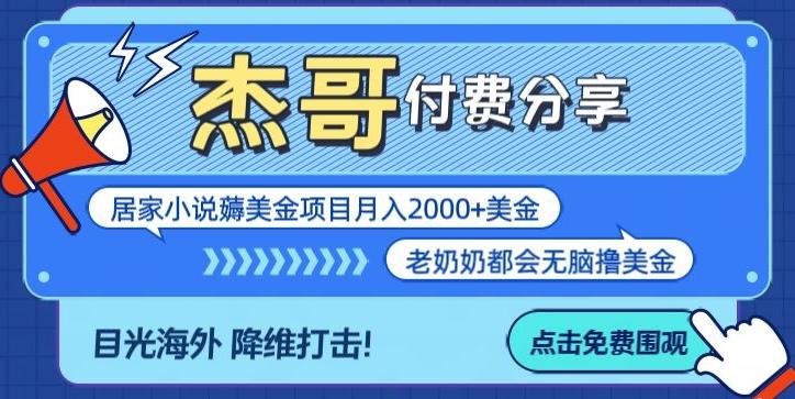 拆解海外撸美金项目月入2000美刀详细指导-网创星球