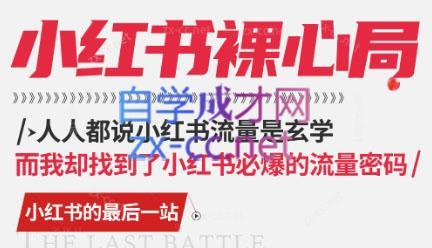 月月老师·小红书低粉高变现课-网创星球