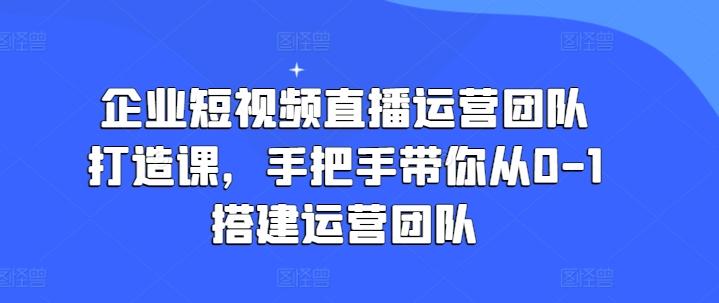 企业短视频直播运营团队打造课，手把手带你从0-1搭建运营团队-网创星球