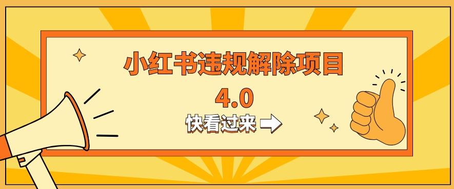 小红书违规掘金蓝海项目，日入800+（附带引流办法及解除办法）-网创星球