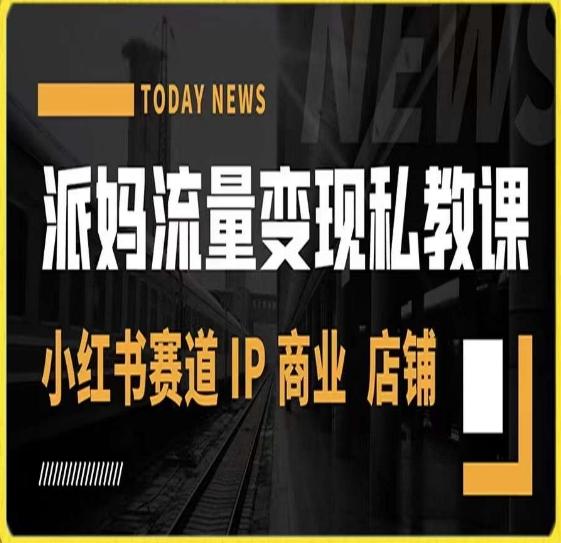 派妈流量变现私教课，小红书赛道IP  商业  店铺 -网创星球