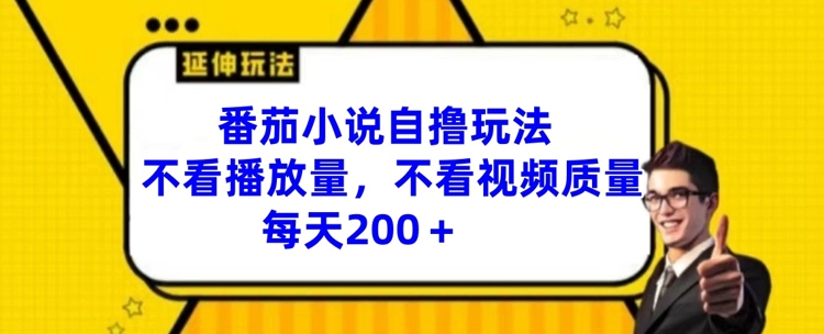 番茄小说自撸玩法，不看播放量，不看视频质量，每天200+【揭秘】-网创星球