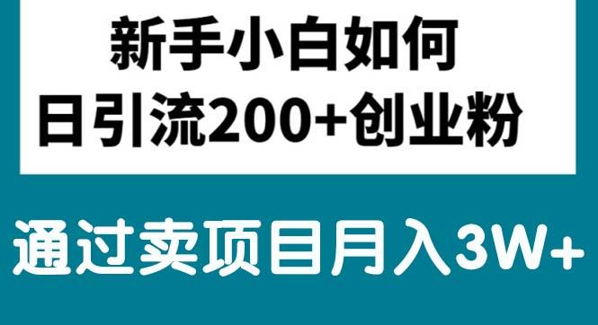 新手小白日引流200+创业粉,通过卖项目月入3W+-网创星球