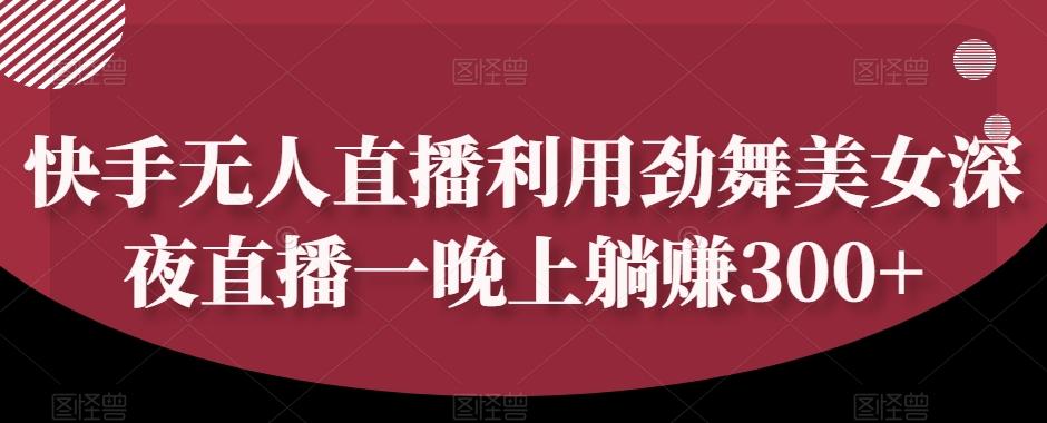 快手无人直播利用劲舞美女深夜直播一晚上躺赚300+-网创星球