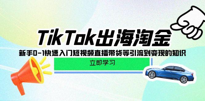 (10035期)TikTok-出海淘金，新手0-1快速入门短视频直播带货等引流到变现的知识-网创星球