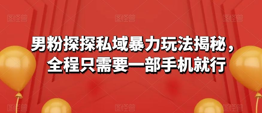 男粉探探私域暴力玩法揭秘，全程只需要一部手机就行-网创星球