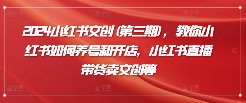 2024小红书文创(第三期)，教你小红书如何养号和开店，小红书直播带货卖文创等-网创星球