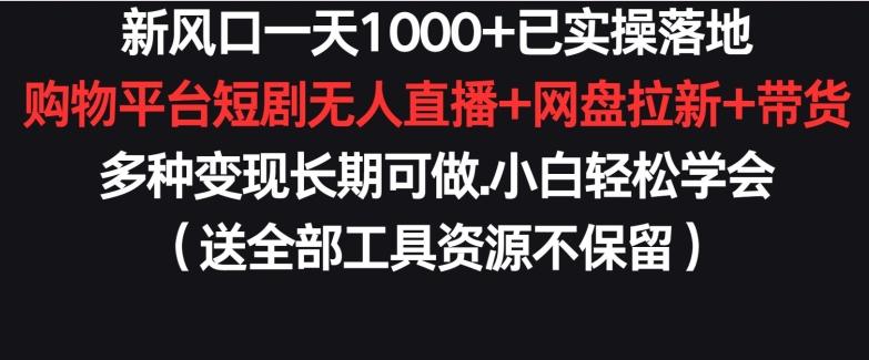 新风口一天1000+已实操落地购物平台短剧无人直播+网盘拉新+带货多种变现长期可做【揭秘】-网创星球