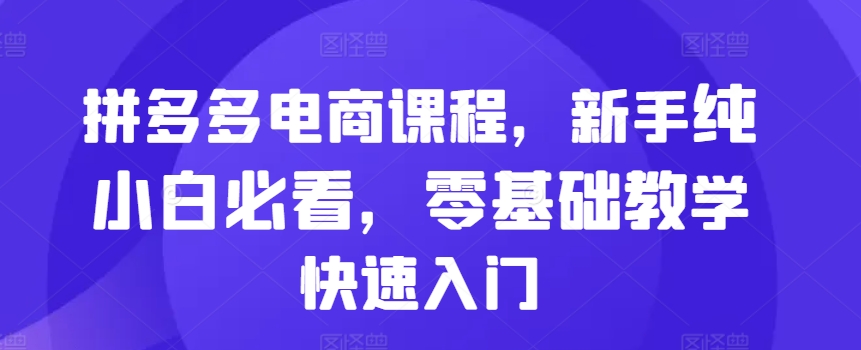 拼多多电商课程，新手纯小白必看，零基础教学快速入门-网创星球