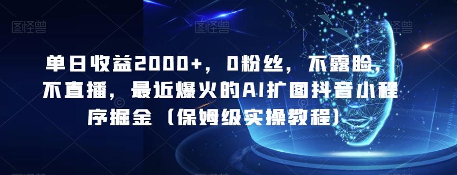 单日收益2000+，0粉丝，不露脸，不直播，最近爆火的AI扩图抖音小程序掘金（保姆级实操教程）-网创星球