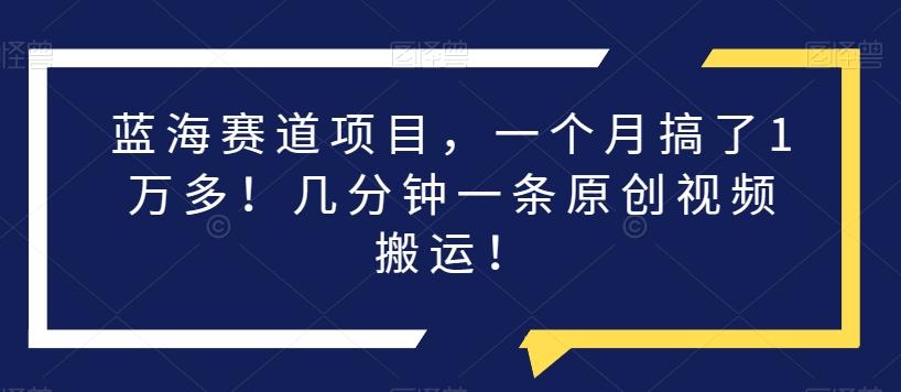 蓝海赛道项目，一个月搞了1万多！几分钟一条原创视频搬运！-网创星球