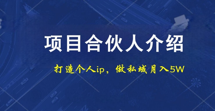 项目合伙人项目，打造个人IP，做私域月入5W，小白勿扰-网创星球