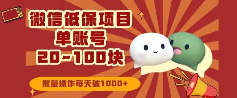 微信领低保单账号20元-100元，批量操作每天破1000+-网创星球