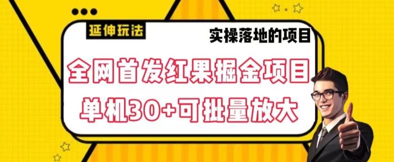 全网首发红果免费短剧掘金项目，单机30+可批量放大【揭秘】-网创星球