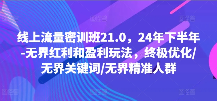 线上流量密训班21.0，24年下半年-无界红利和盈利玩法，终极优化/无界关键词/无界精准人群-网创星球