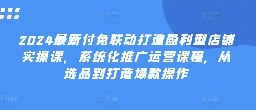 2024最新付免联动打造盈利型店铺实操课，​系统化推广运营课程，从选品到打造爆款操作-网创星球