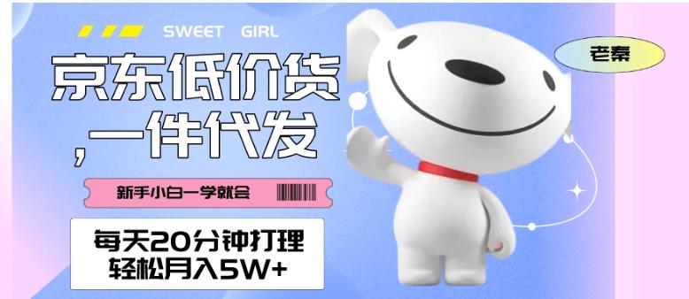 每天20分钟打理京东低价货，一件代发-轻松月入5W＋-网创星球