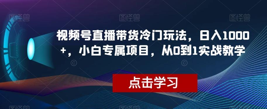视频号直播带货冷门玩法，日入1000+，小白专属项目，从0到1实战教学【揭秘】-网创星球