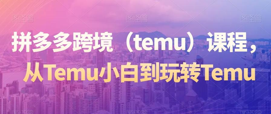 拼多多跨境（temu）课程，从Temu小白到玩转Temu-网创星球