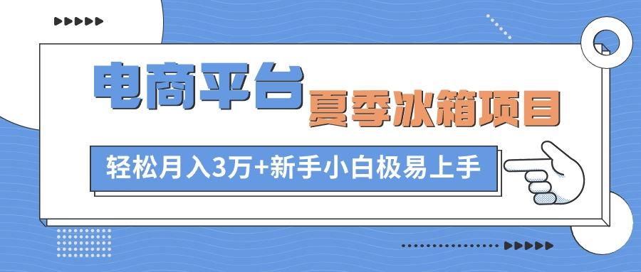 电商平台夏季冰箱项目，轻松月入3万+，新手小白极易上手-网创星球