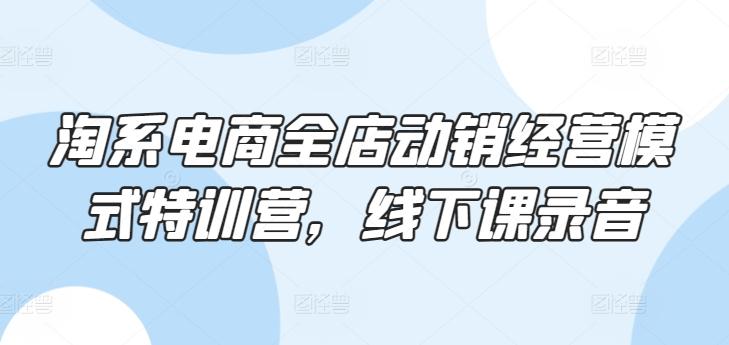 淘系电商全店动销经营模式特训营，线下课录音-网创星球