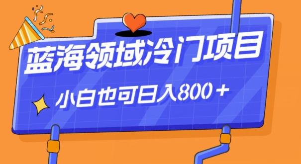 蓝海领域冷门赛道，一单39.9，日入800＋-网创星球
