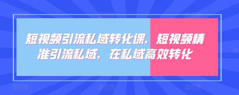 短视频引流私域转化课，短视频精准引流私域，在私域高效转化-网创星球