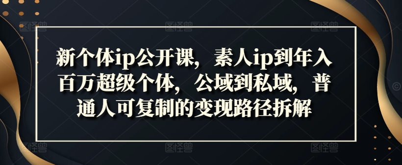 新个体ip公开课，素人ip到年入百万超级个体，公域到私域，普通人可复制的变现路径拆解-网创星球