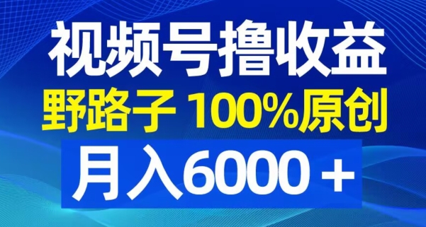 视频号野路子撸收益，100%原创，条条爆款，月入6000＋【揭秘】-网创星球