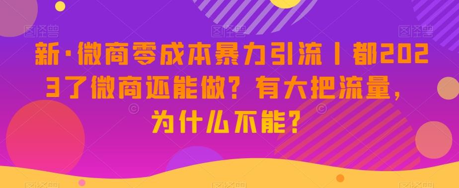 新·微商零成本暴力引流丨都2023了微商还能做？有大把流量，为什么不能？-网创星球