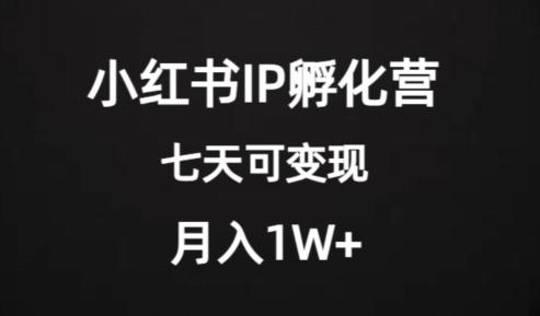 价值2000+的小红书IP孵化营项目，超级大蓝海，七天即可开始变现，稳定月入1W+-网创星球