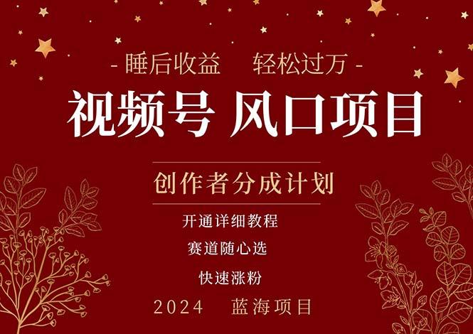 拥有睡眠收益的微信视频号大风口项目，轻松月入过万+，多赛道选择，可…-网创星球