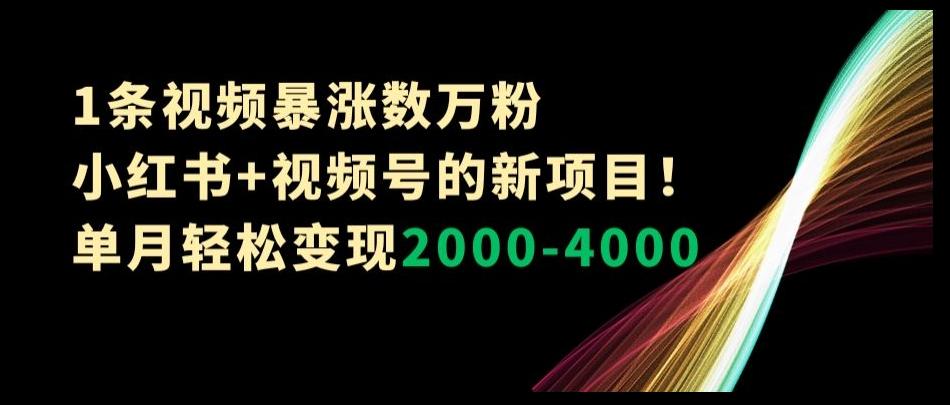 1条视频暴涨数万粉–小红书+视频号的新项目！单月轻松变现2000-4000【揭秘】-网创星球
