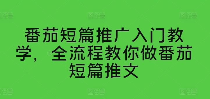 番茄短篇推广入门教学，全流程教你做番茄短篇推文-网创星球