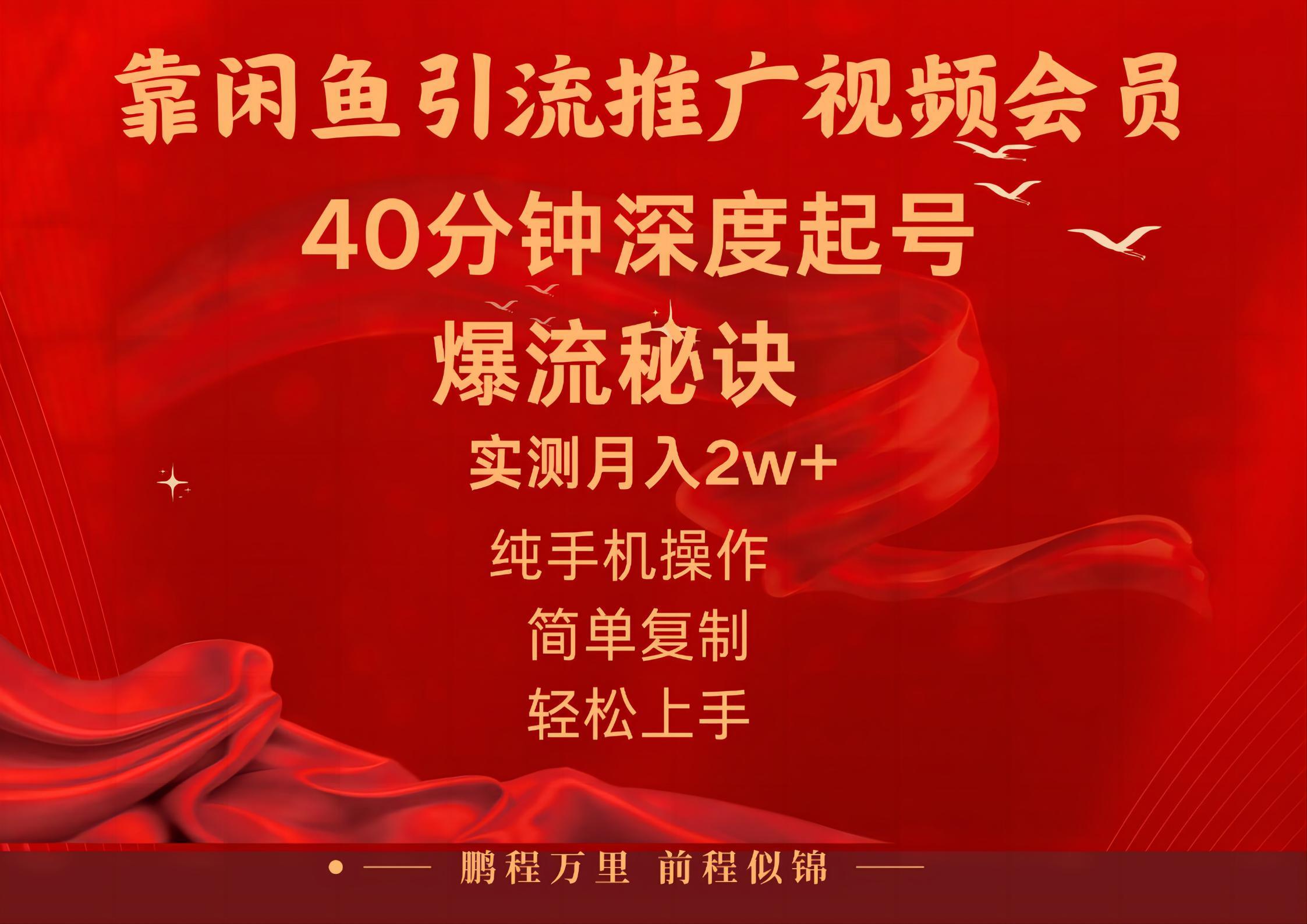 闲鱼暴力引流推广视频会员，能做到日入2W+，操作简单-网创星球