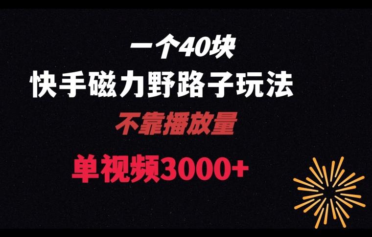 一个40块，快手联合美团磁力新玩法，无视机制野路子玩法，单视频收益4位数【揭秘】-网创星球