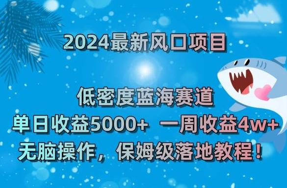 2024最新风口项目，低密度蓝海赛道，单日收益5000+，一周收益4w+！【揭秘】-网创星球