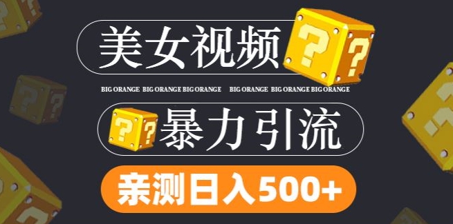 搬运tk美女视频全网分发，日引s粉300+，轻松变现，不限流量不封号【揭秘】-网创星球