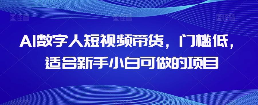AI数字人短视频带货，门槛低，适合新手小白可做的项目-网创星球