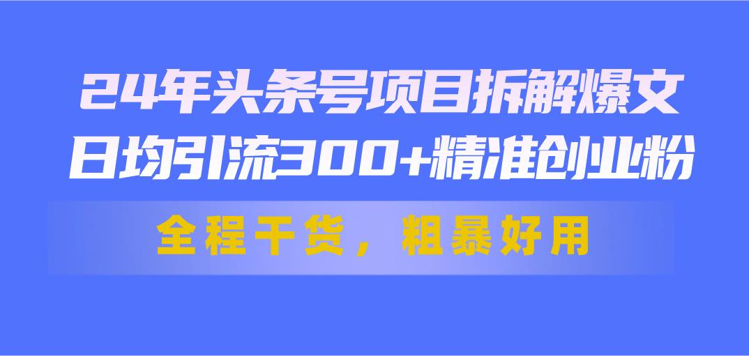 24年头条号项目拆解爆文，日均引流300+精准创业粉，全程干货，粗暴好用-网创星球