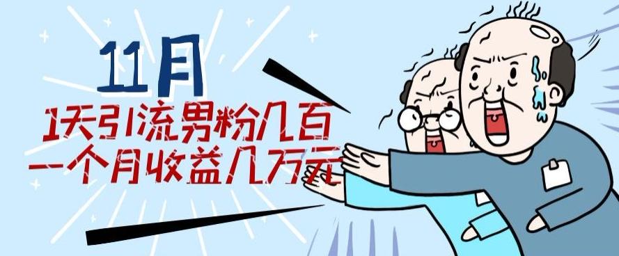 11月最新每天引流男粉300+一个月收益几万元-网创星球