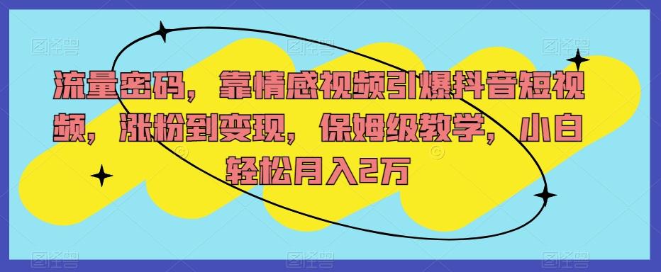 流量密码，靠情感视频引爆抖音短视频，涨粉到变现，保姆级教学，小白轻松月入2万【揭秘】-网创星球